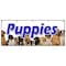 Signmission PUPPIES BANNER SIGN purebred breeder guaranteed cats healthy dogs B-120 Puppies - alternate 1